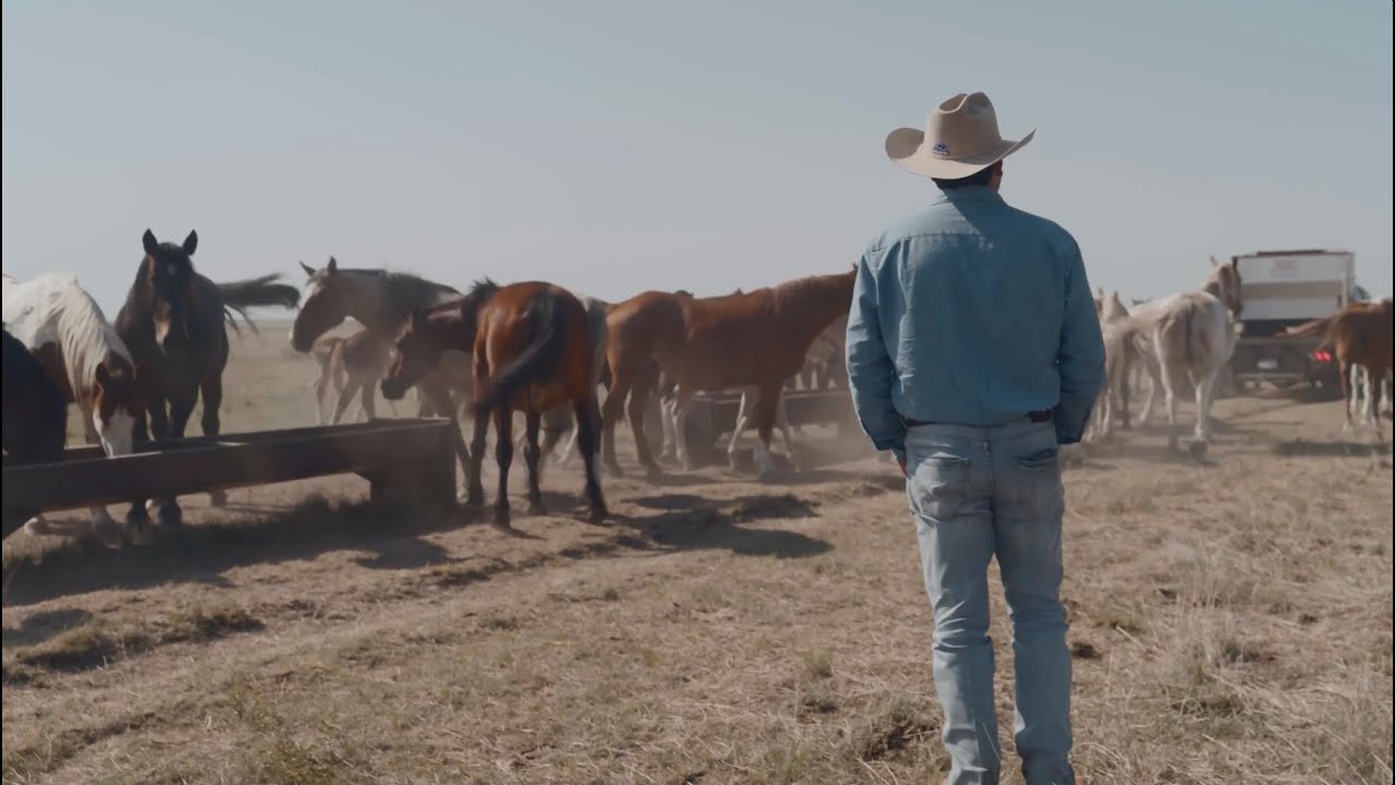 Rodeo Dunes | Binion at the Homestead