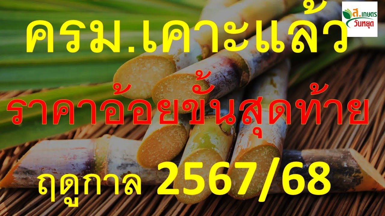 ด่วน คณะรัฐมนตรีอนุมัติราคาอ้อยขั้นสุดท้ายฤดูกาล 2567/2568 แล้ว