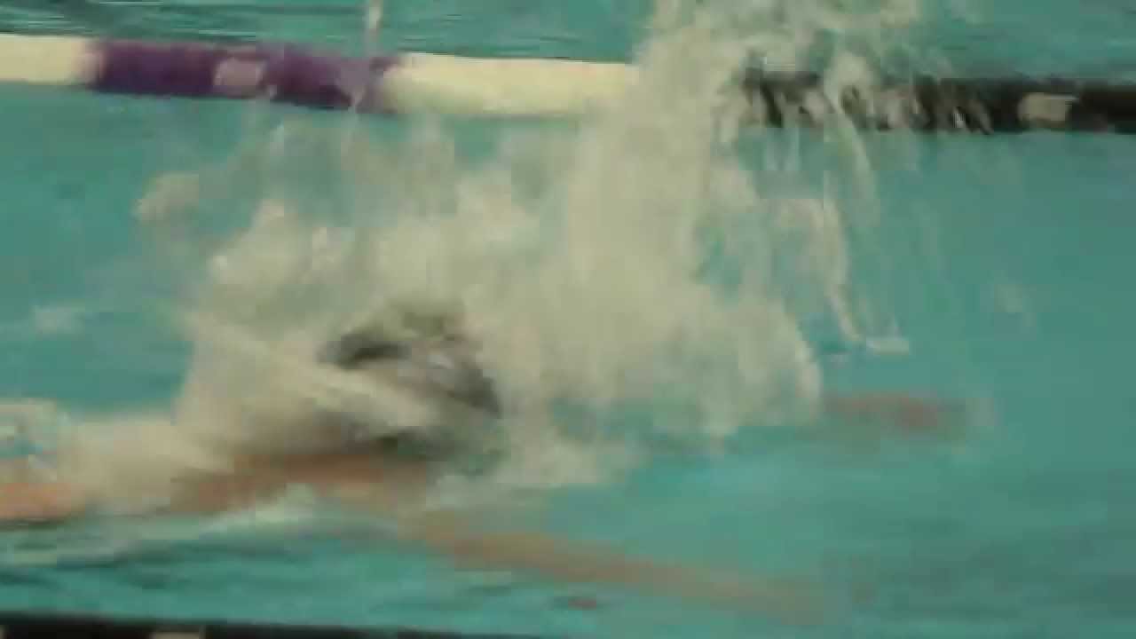 NYU Swimming Defeats Vassar College - 11-1-14