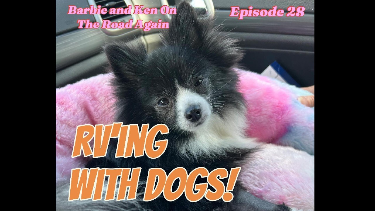 RV Life With Dogs #rvlife #barbieandkenontheroadagain #americancoach
