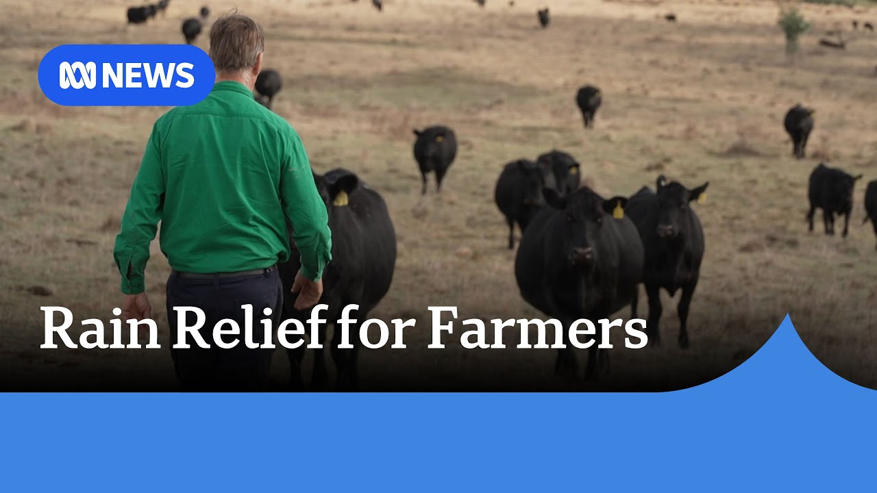 Relief for farmers in the Canberra region | ABC NEWS