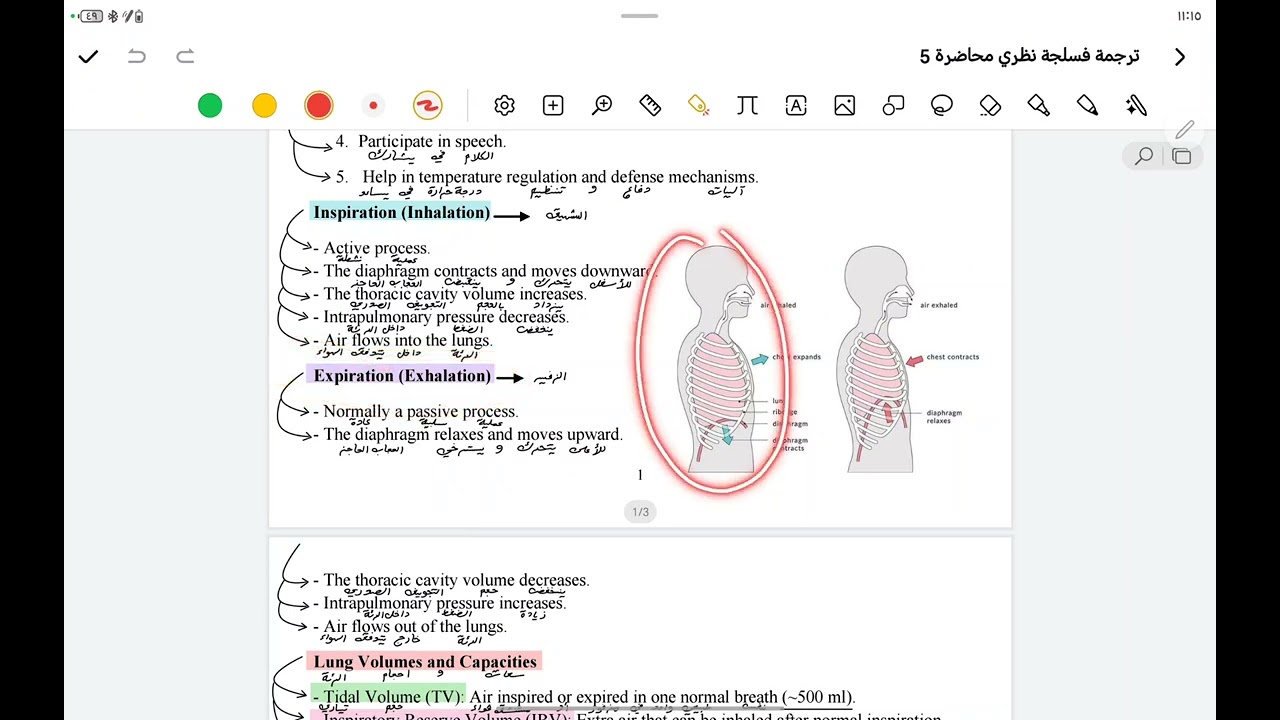 Physiology of Respiratory system فسلجة الجهاز التنفسي 