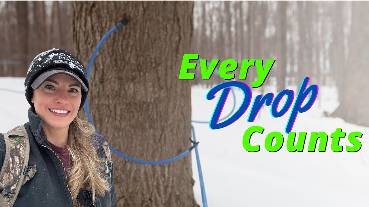 How Many Drop lines Do we make?