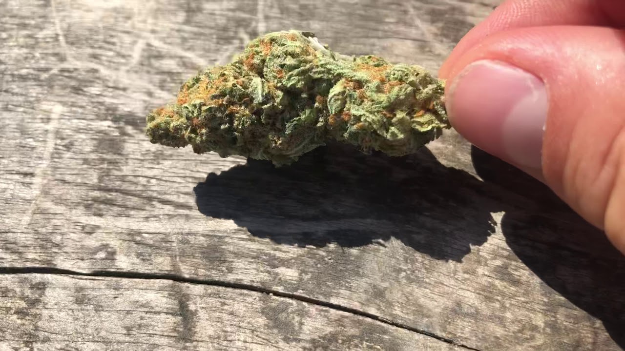 Sunday Strain Review #6 - Amnesia