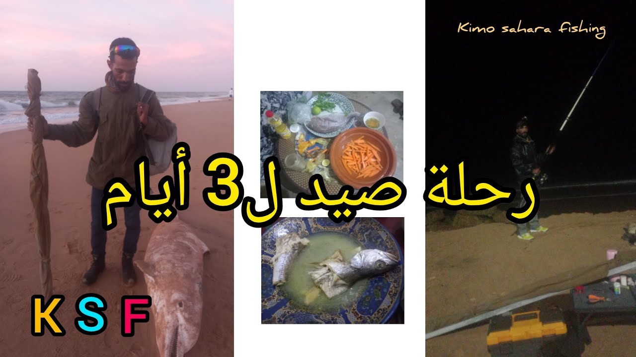 صيد أسماك الشرغو و الكوربين و إبلاغ و البورة #الأسماك #صيد #اكسبلور #البحر #plage #كوربين . Corvine#