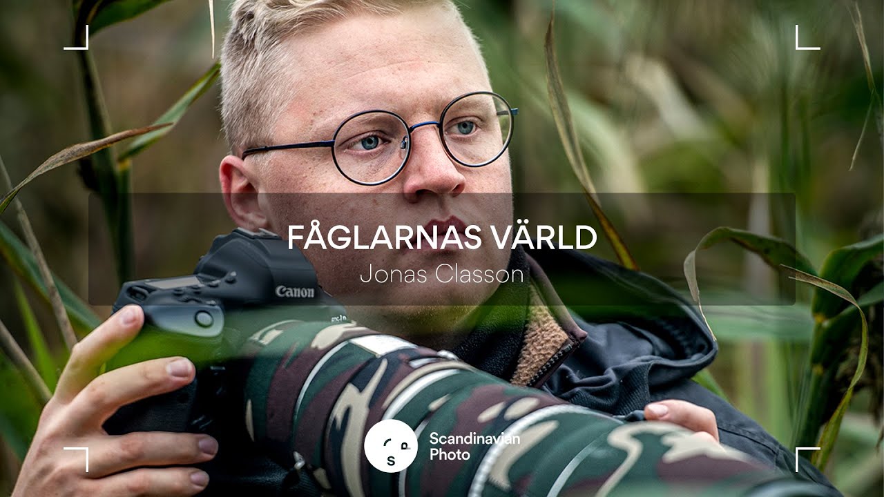 Fåglarnas värld – Jonas Classon