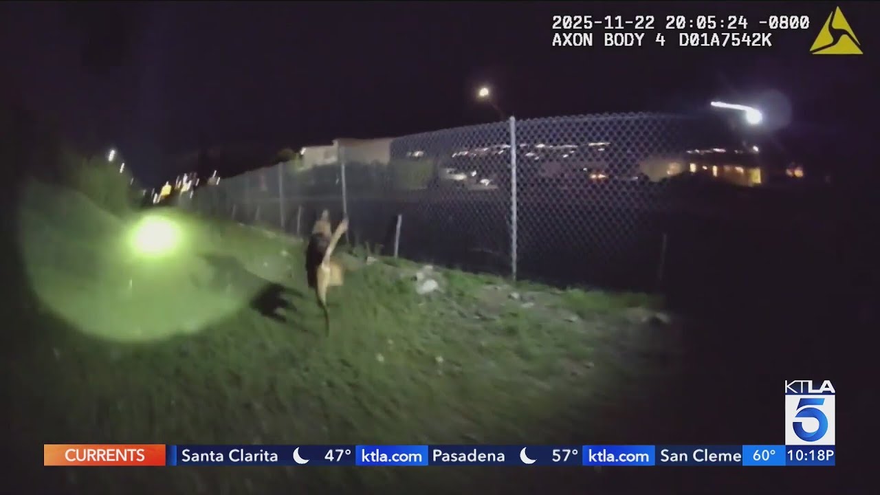 Video shows police K9's final moments before fatal shooting