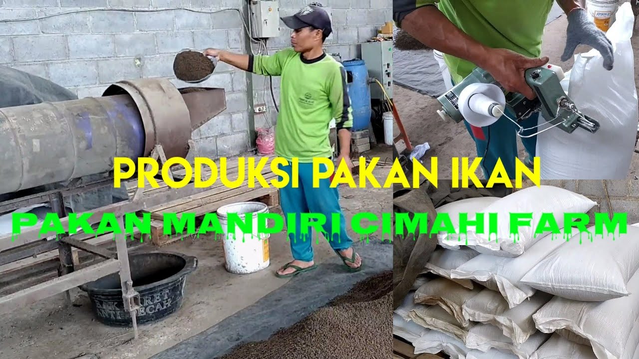 4 Agustus 2022 PRODUKSI PAKAN IKAN.PAKAN IKAN MANDIRI CIMAHI FARM#pakanikan#peletikan
