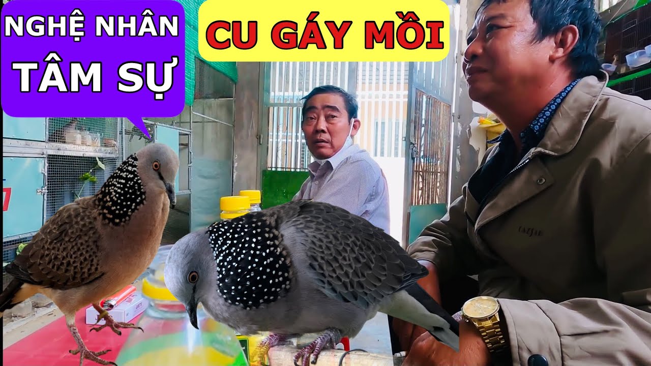 Cu thủ đồng nai tâm sự cu gáy mồi