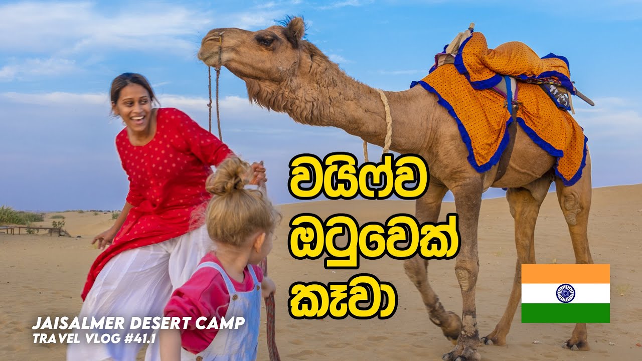 INDIA Vlog 13 - Jaisalmer Desert Camp | Camel Attack in Thar Desert