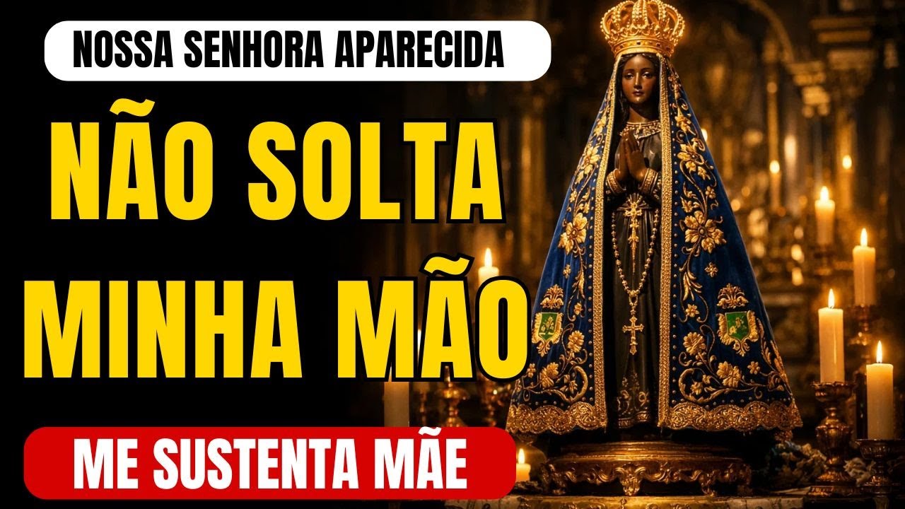 Se Você Está Aqui Agora… Não Foi Por Acaso | Nossa Senhora Está Falando Contigo