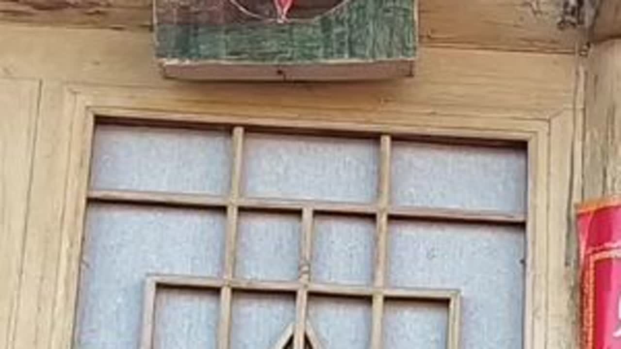 #我要上热门 #原创视频 #农村生活 记录我的农村生活