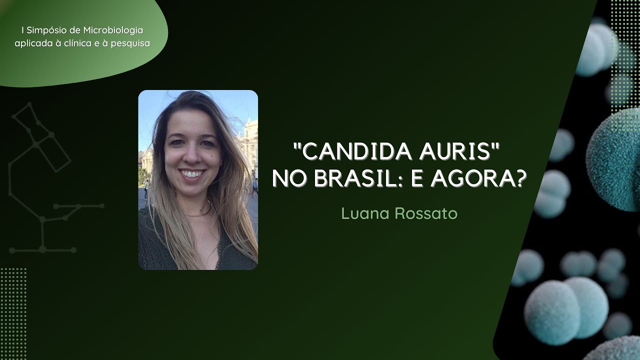 Candida auris no Brasil
