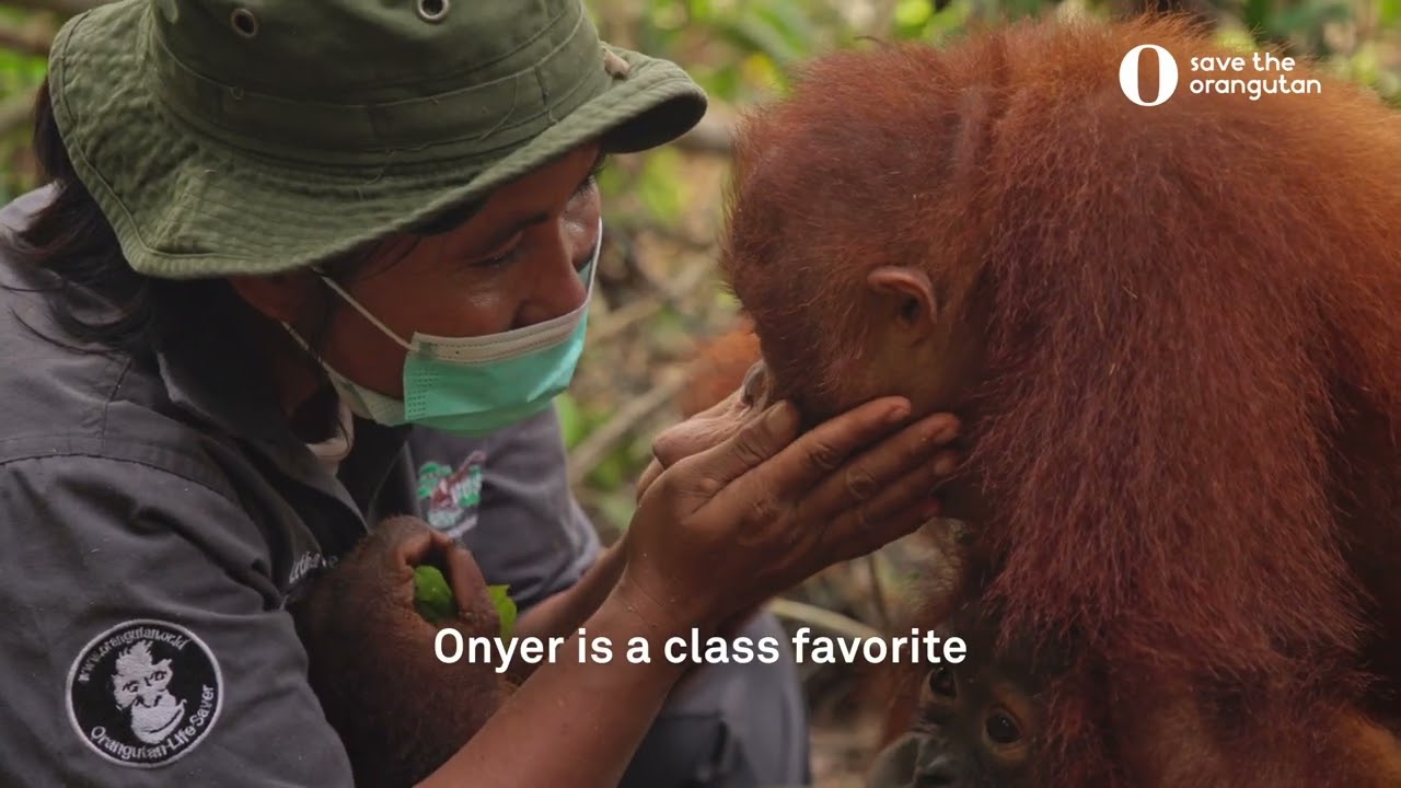 Meet Onyer