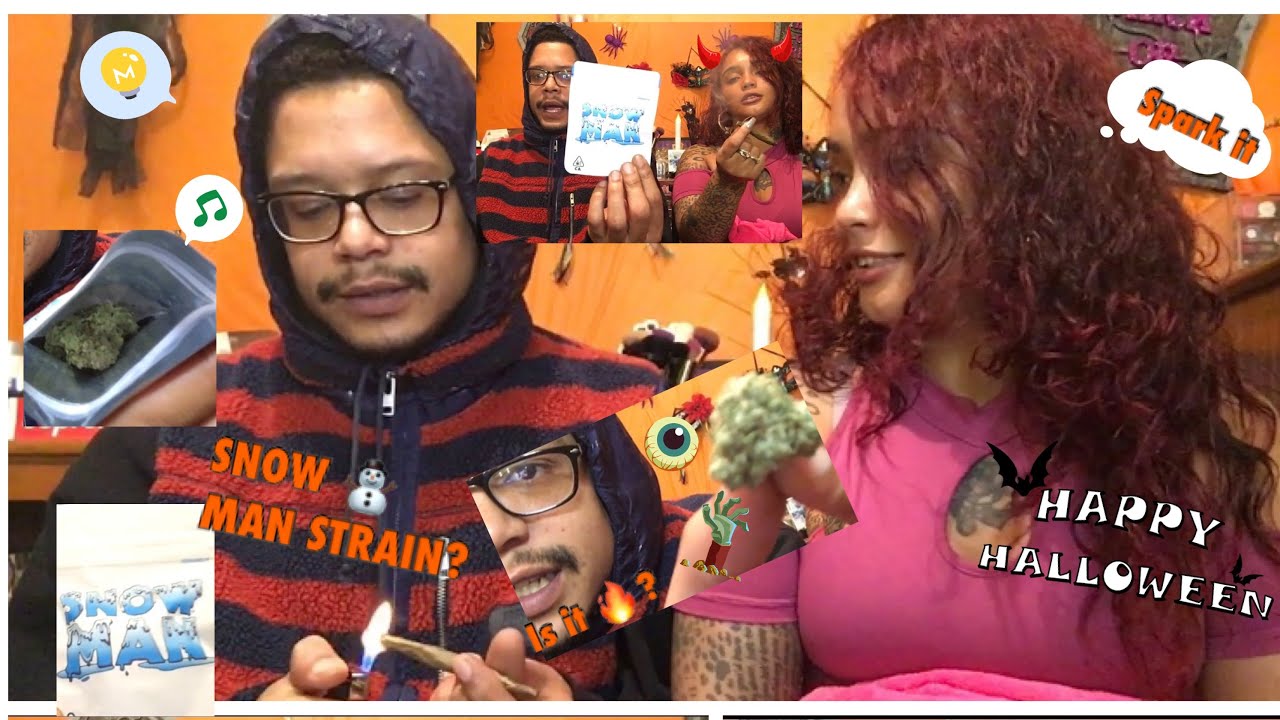 SNOW MAN ⛄️ WEED STRAIN REVIEW | #OMGITSNUNUBARDI