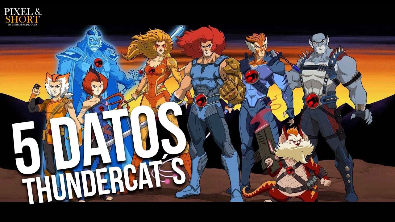 5 datos sobre THUNDERCATS