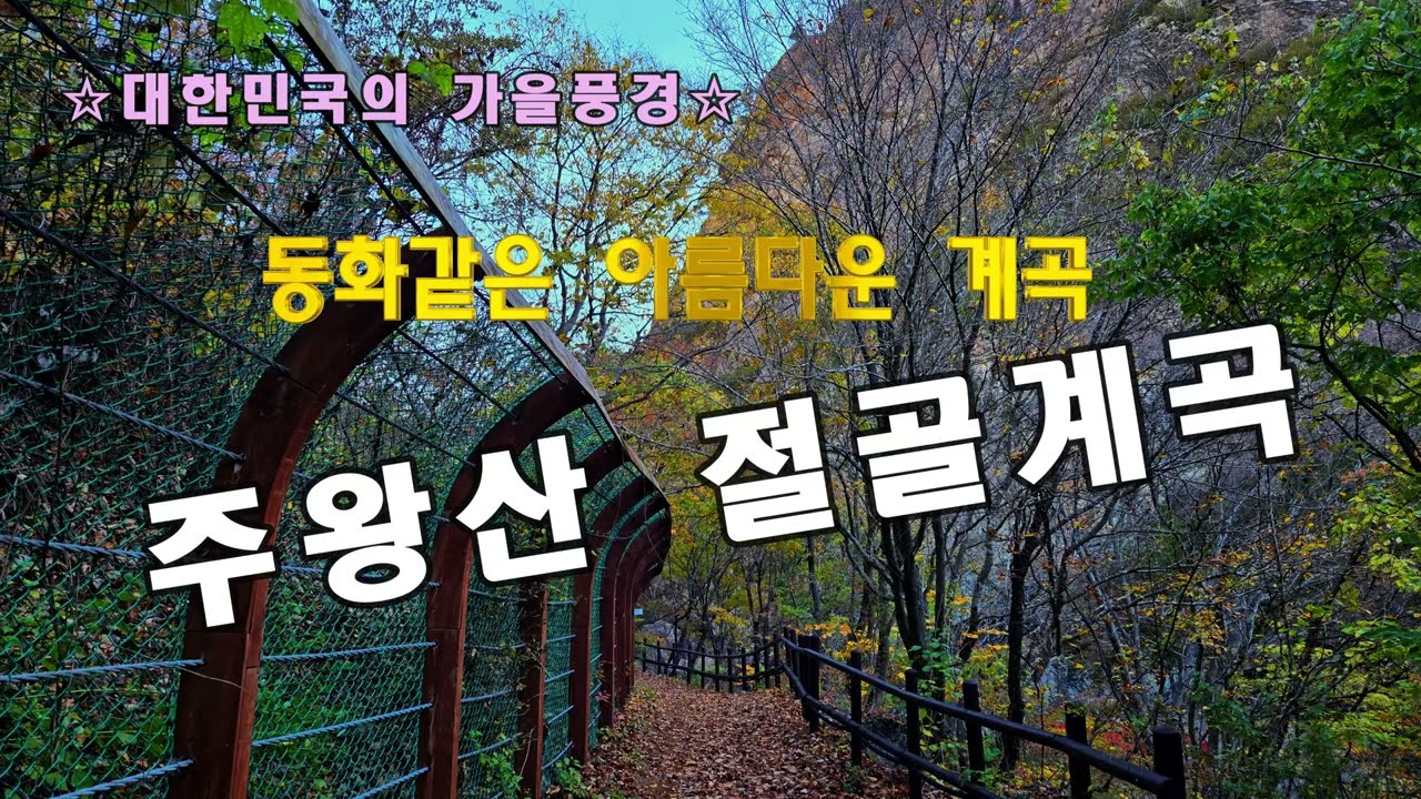 🌏대한민국의 가을풍경🍁 38.주왕산 절골계곡의 단풍（2024.11.06.촬영)—이번주가 절정일 듯🍁🍁