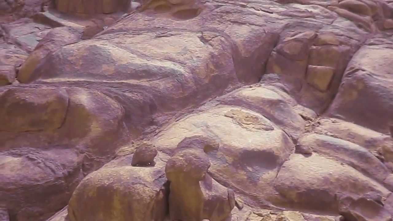 لأول مرة في التاريخ ..السمطي في وادي امرىء القيس : وادي مأسل