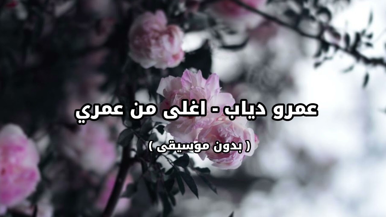 عمرو دياب - اغلى من عمري ( بدون موسيقى )