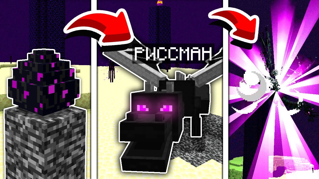 😱ЖИЗНЬ ЭНДЕР ДРАКОНА РИССМАНА От Рождения до Смерти в Майнкрафт!