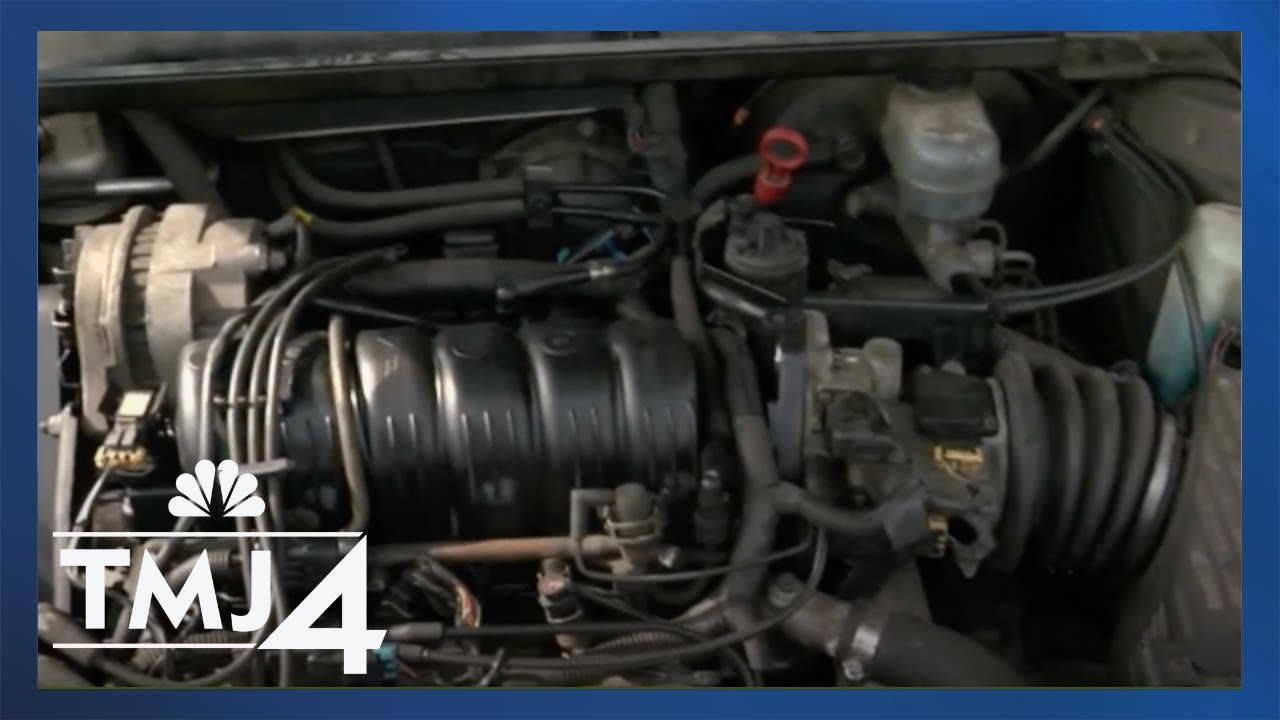 How rodents can damage your vehicle