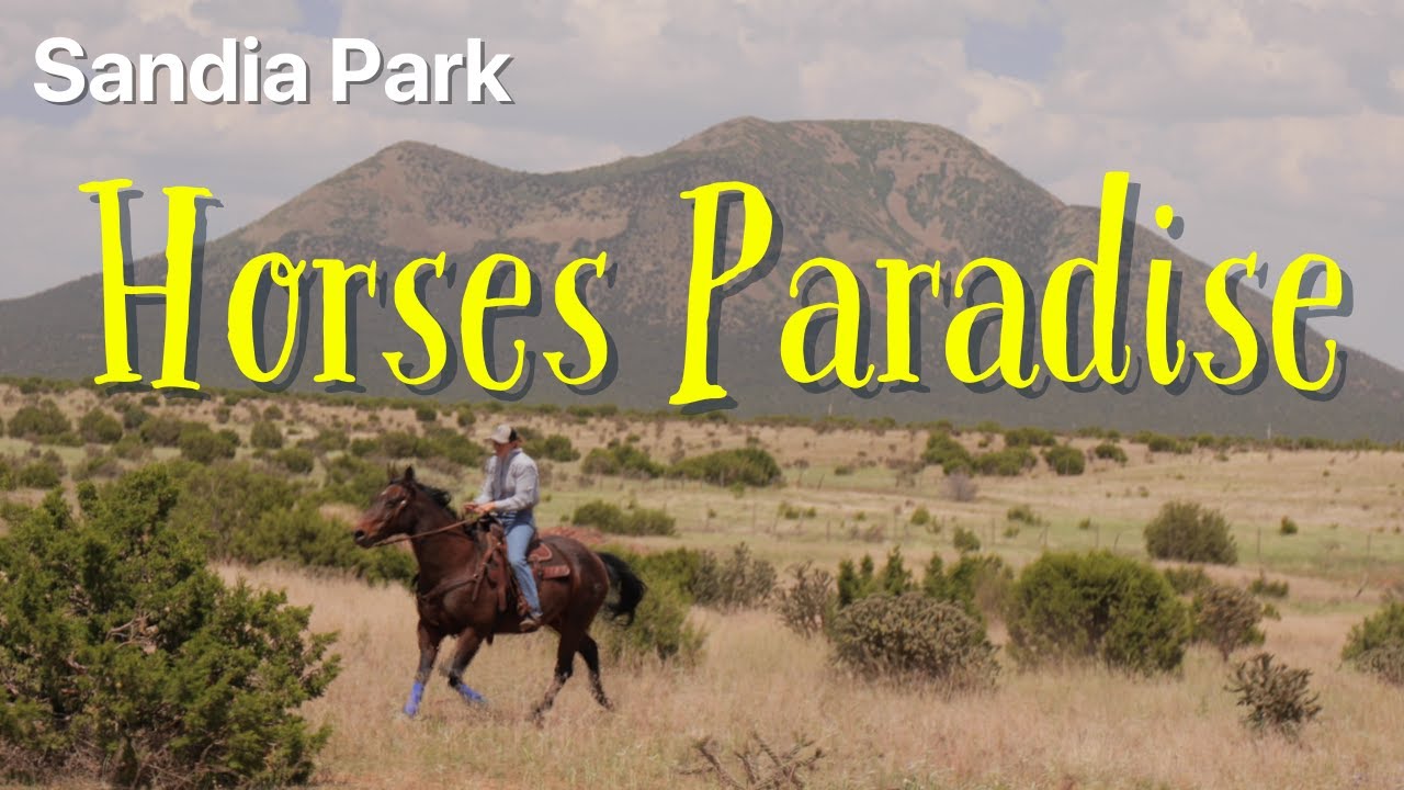 The Most Stunning Equestrian Estate in New Mexico?