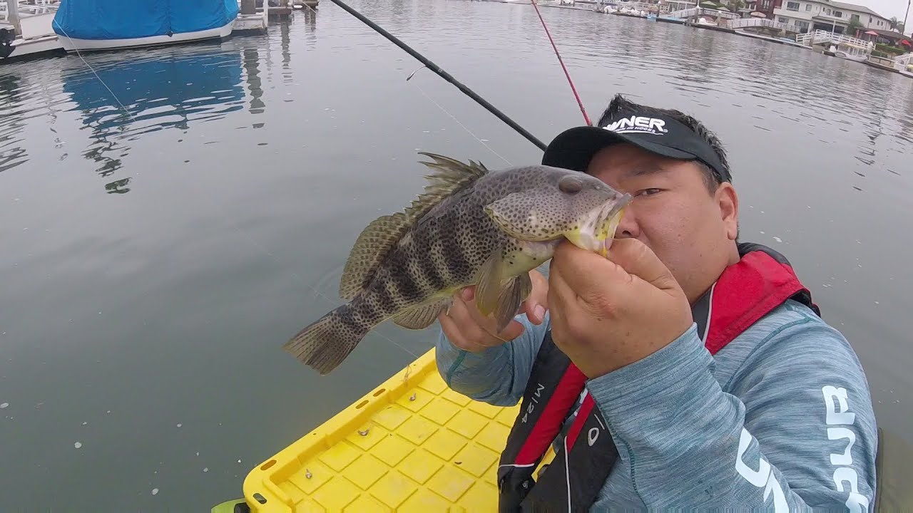 Cumberland Float Tube Fishing In Alamitos Bay