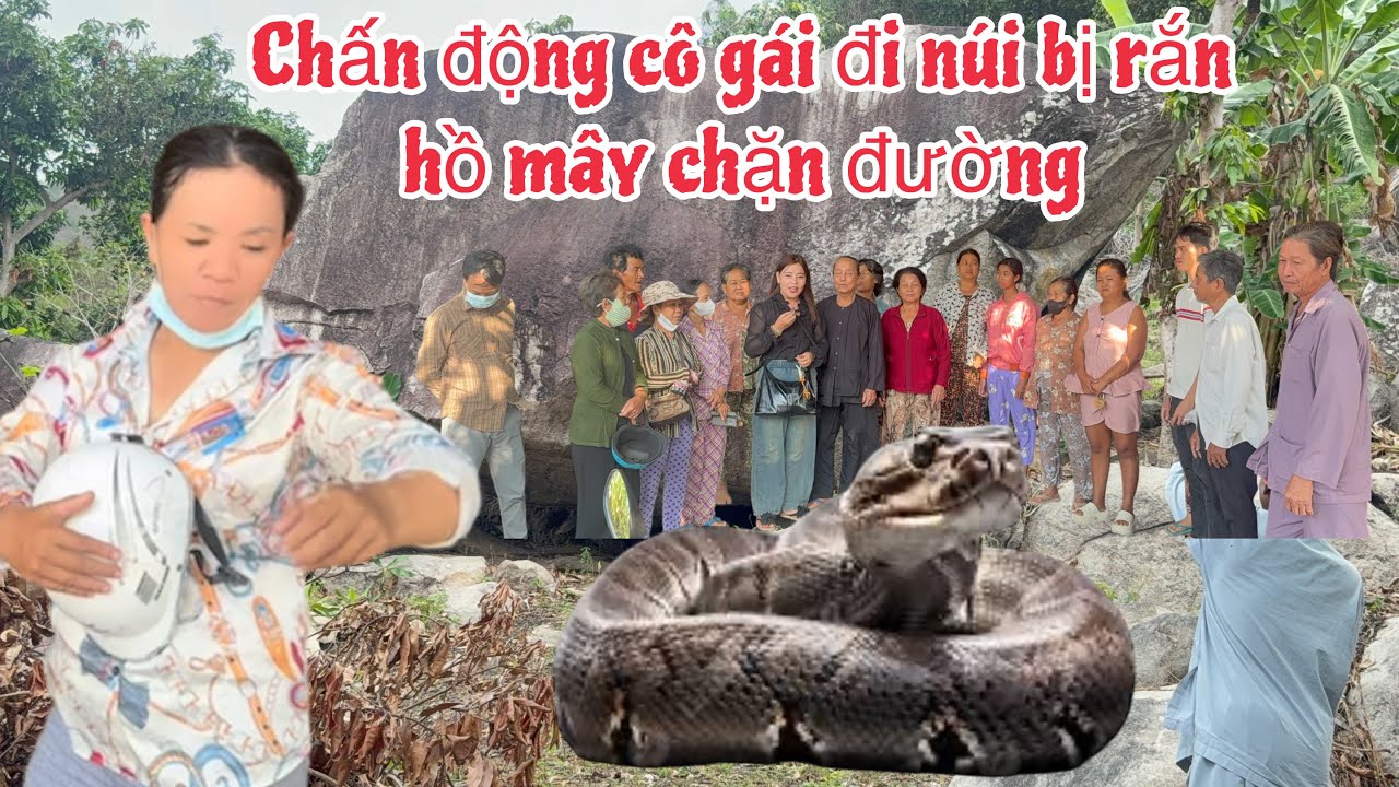 Bắt ngờ cô gái núi đến nhận quà chứng kiến rắn hổ mây to khủng