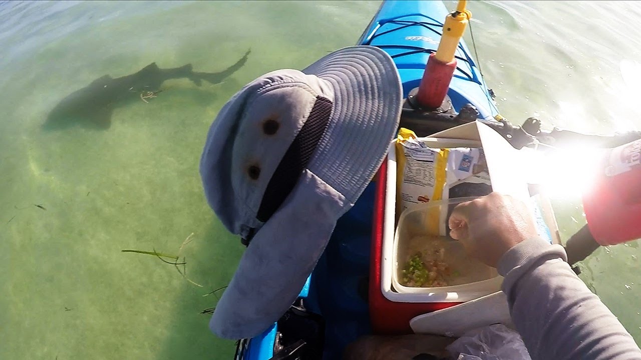 Key West Kayak Cooking - Mangrove Snapper Ceviche w/Sharks - Cooking On The Water.