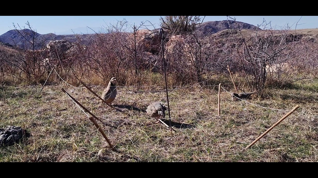 5 ноября 2025 г.