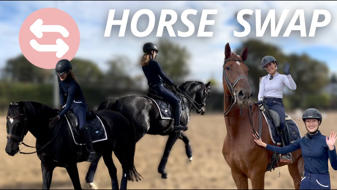 Cambio de caballo con Agueda Dressage | Horse Swap