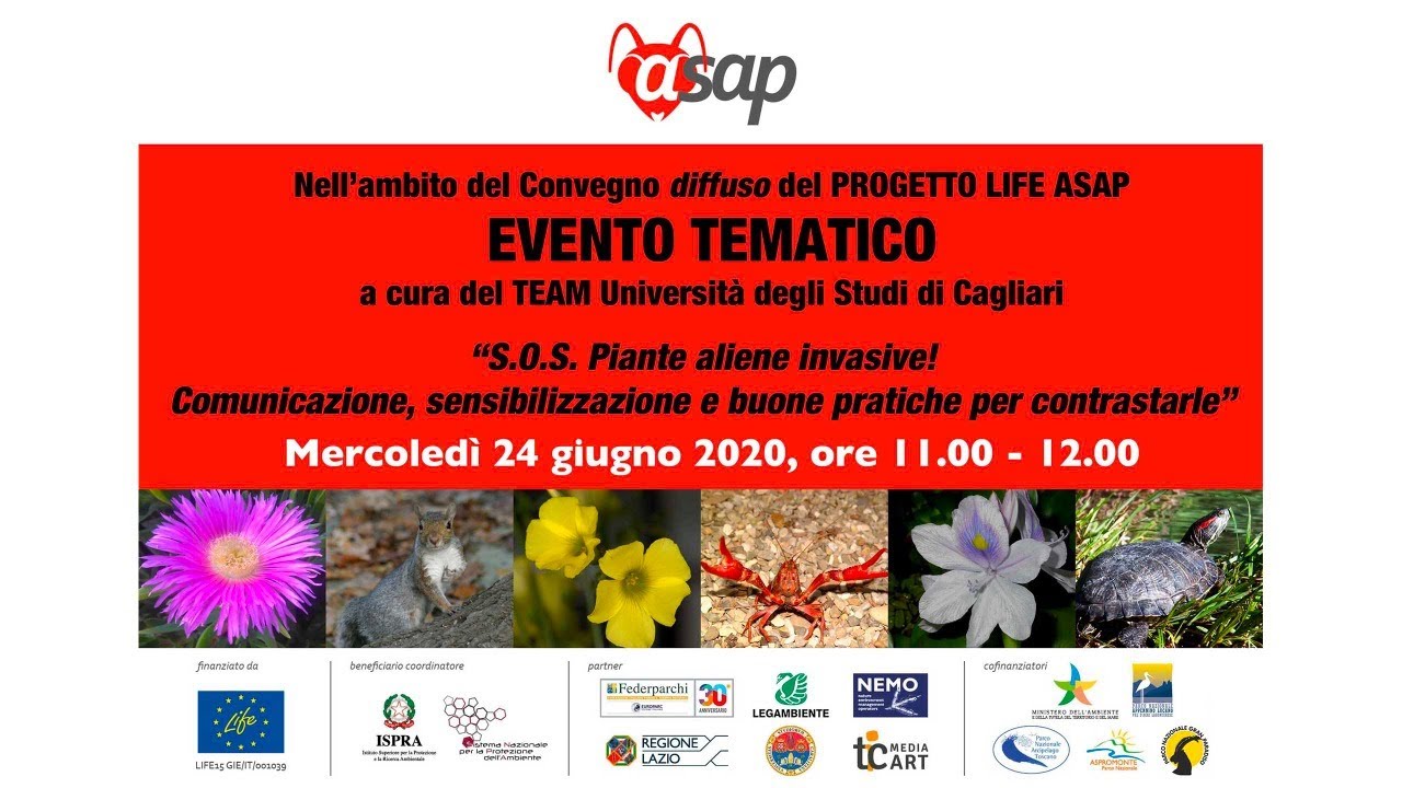 SOS piante aliene invasive! Parte 2: Discussione dal vivo