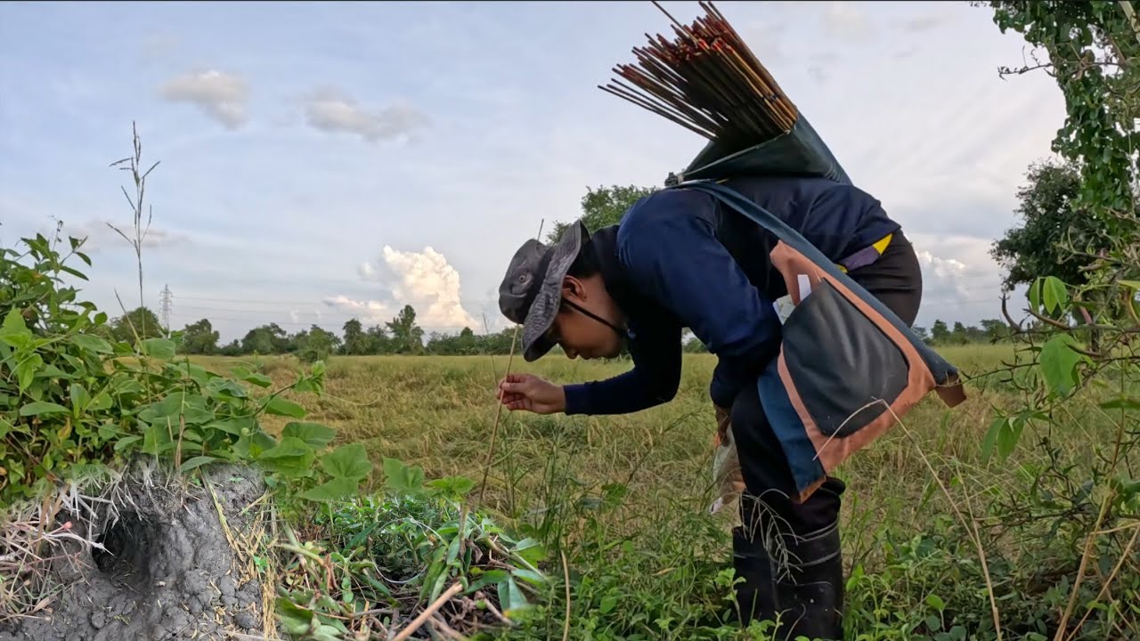 เห็นแบบนี้บอกเลยว่าไม่รอด เปิดฤดูกาลตั้งแคมป์ดักหนูนอนคืนปี68