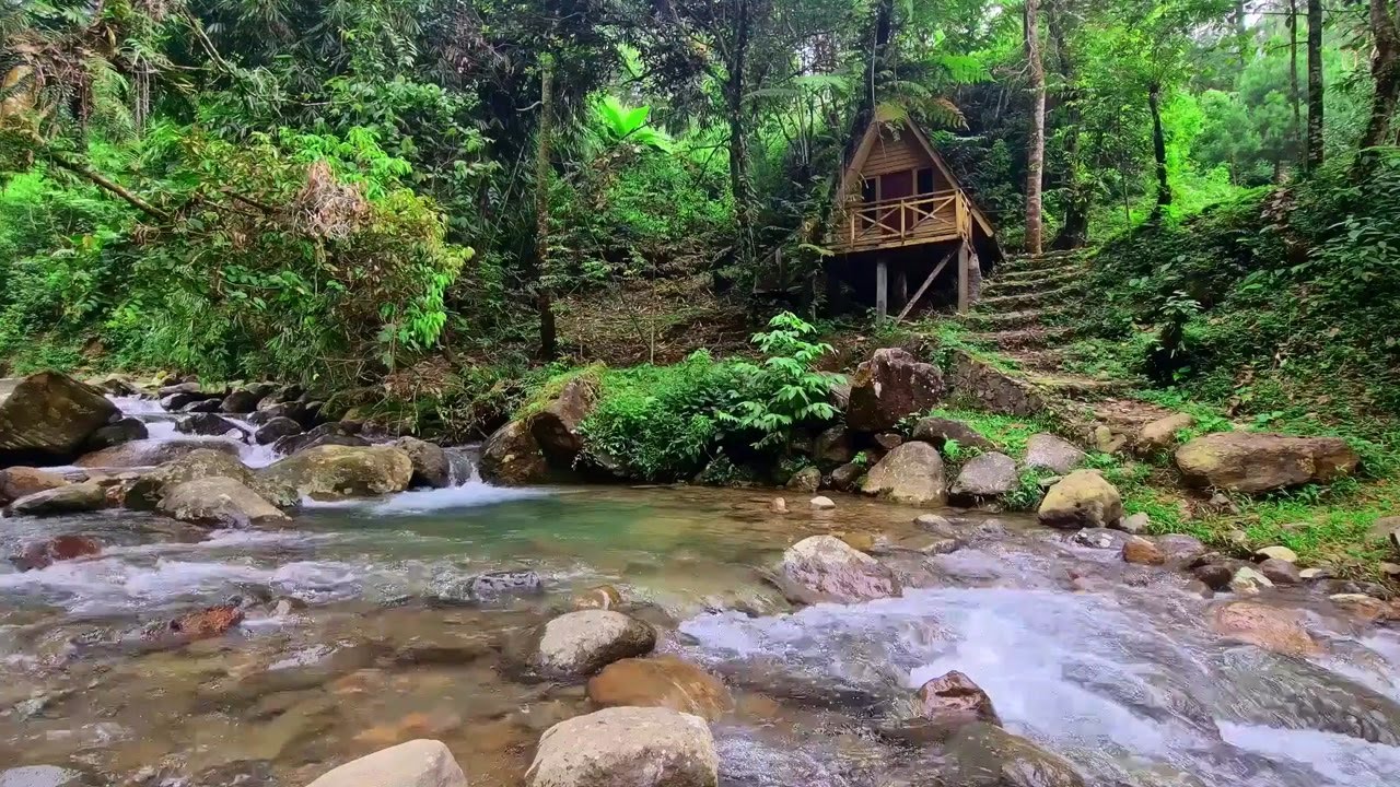 River Energy Ambience | Peaceful Stream for Healing and Better Sleep