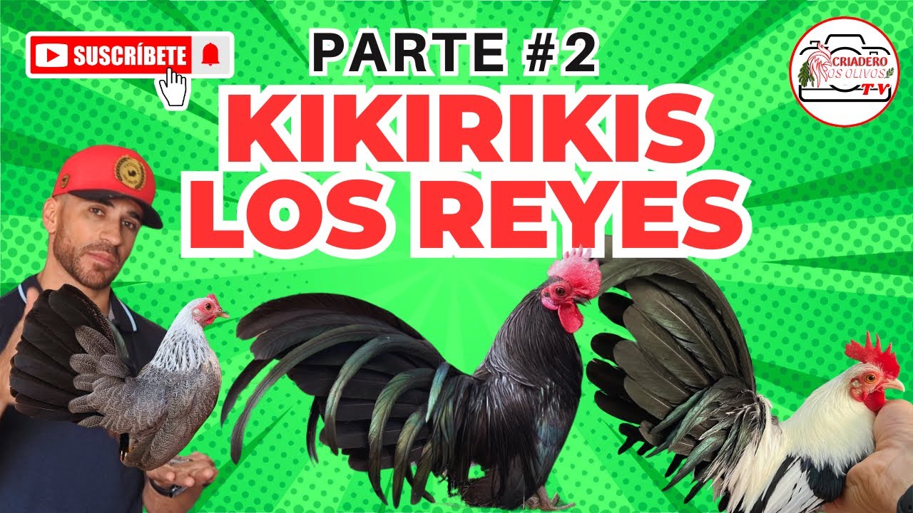 KIKIRIKIS LOS REYES (Jero)   Parte 2