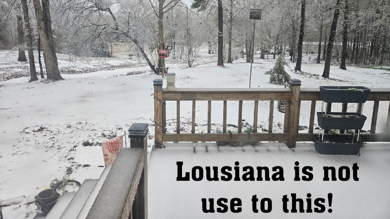 Winter Storm 2026 in Louisiana 