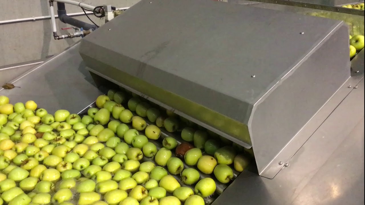 Apples Grading Line - Central Discharge