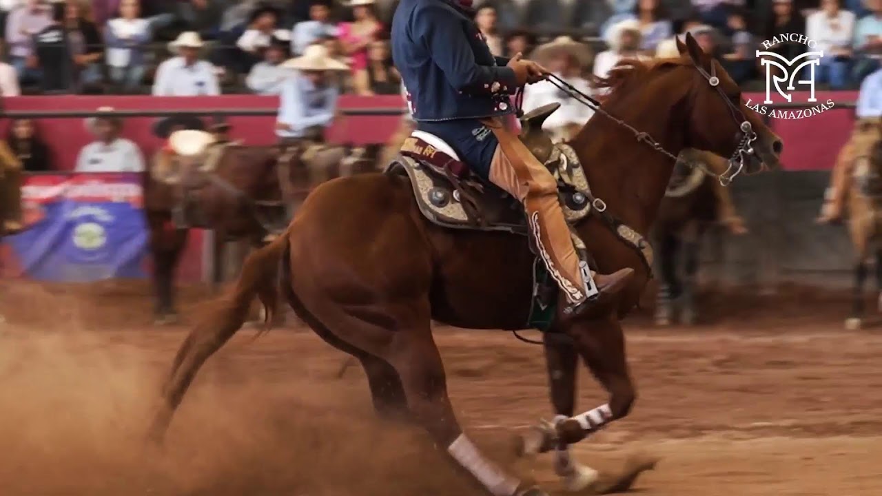 COMPETENCIA 1 6to  TORNEO DE ANIVERSARIO RANCHO LA CUEVA
