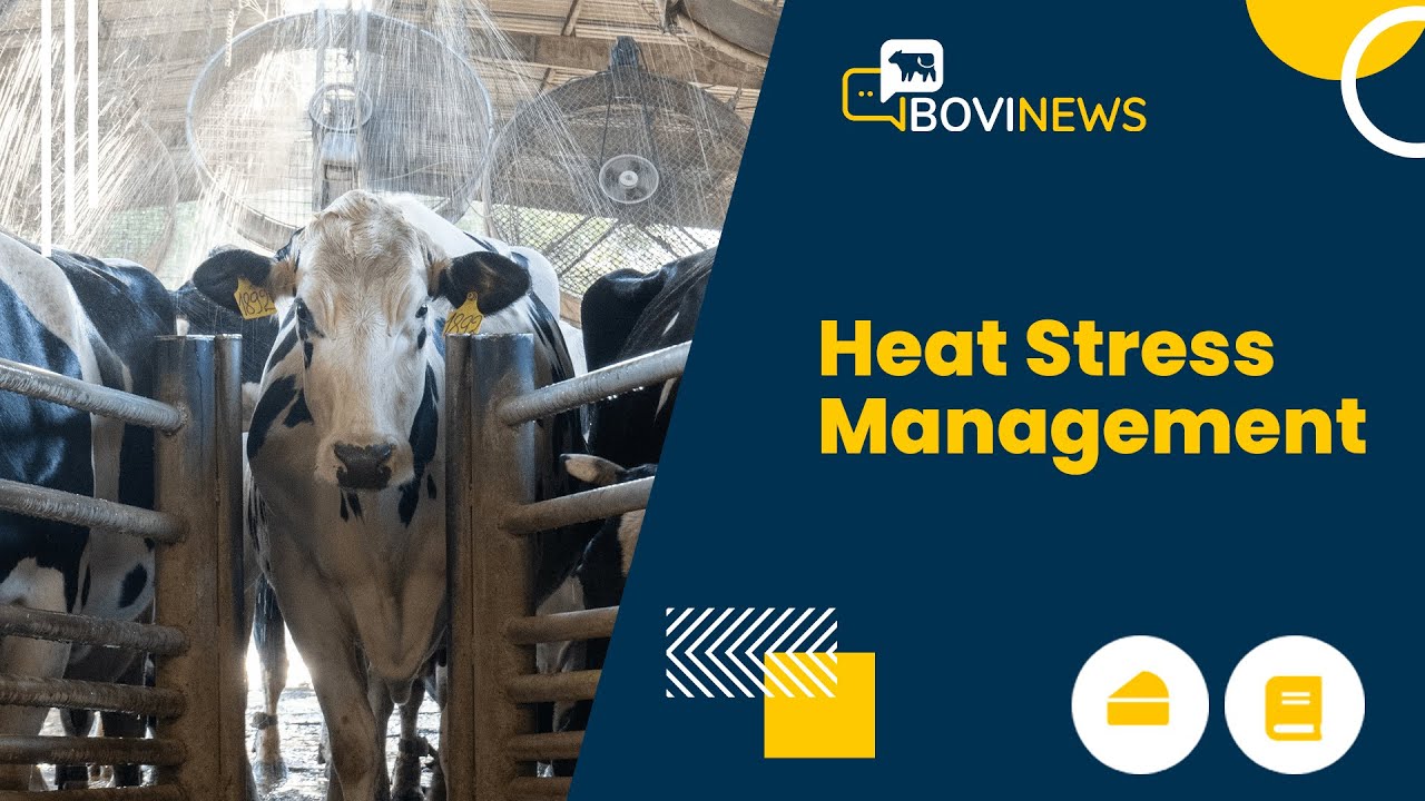 Webinar: Heat Stress Management