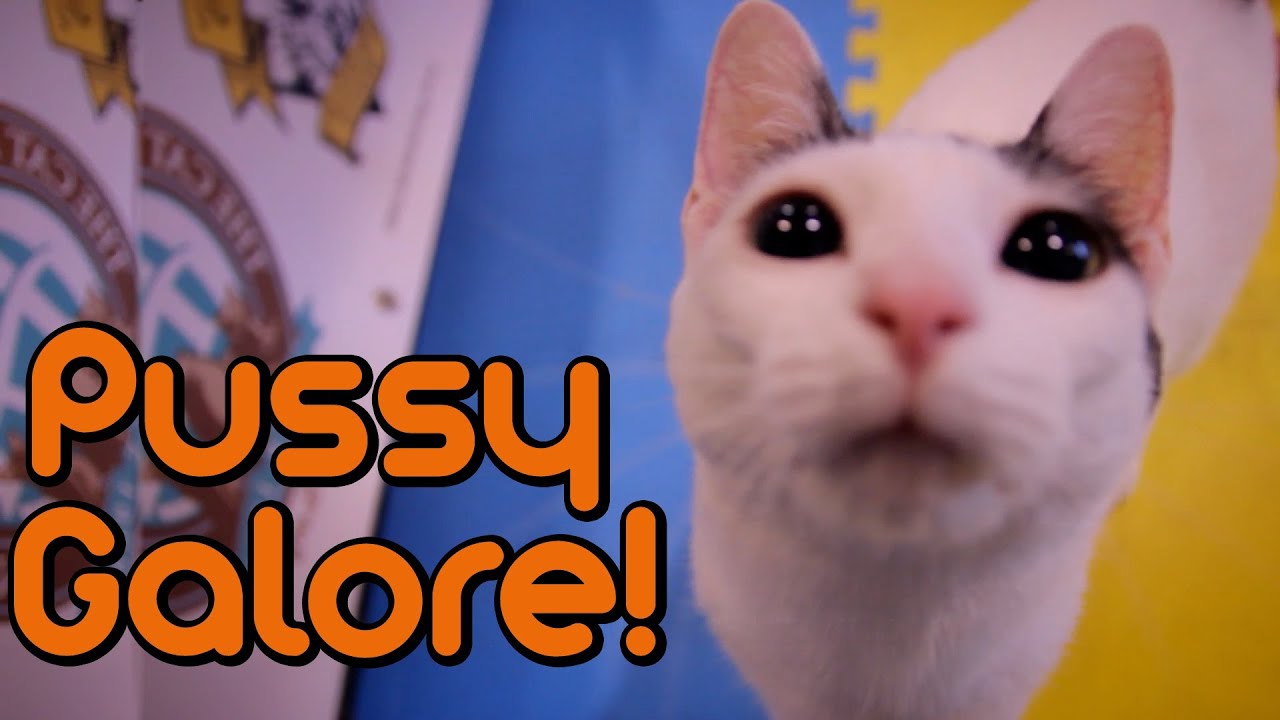 Pussy Galore! - Riding Shotgun #15