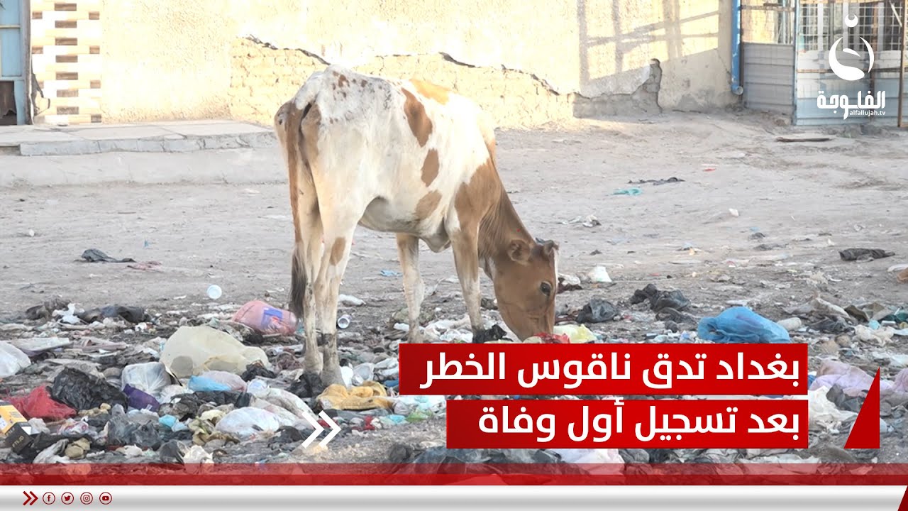 بغداد تدق ناقوس الخطر بعد تسجيل أول وفاة بالحمى النزفية في الحسينية | تقرير: علاء الحديدي