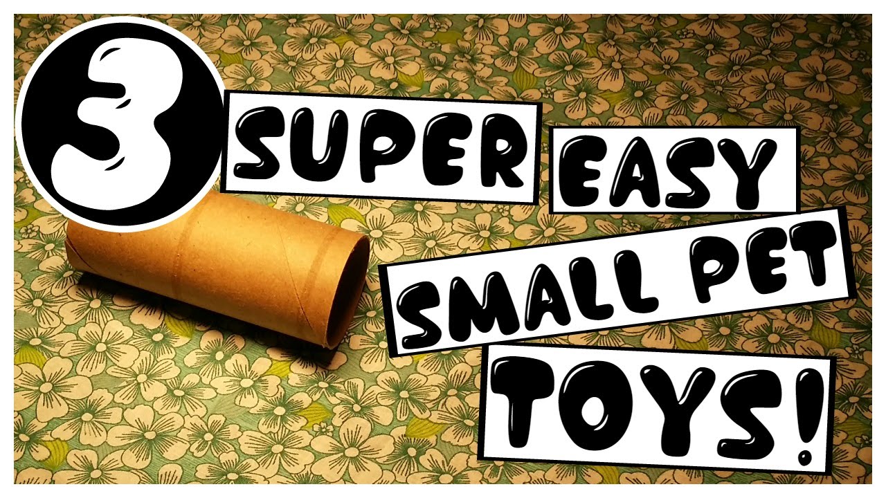 3 DIY | SUPER EASY SMALL ANIMAL TOYS! | Cgpets101