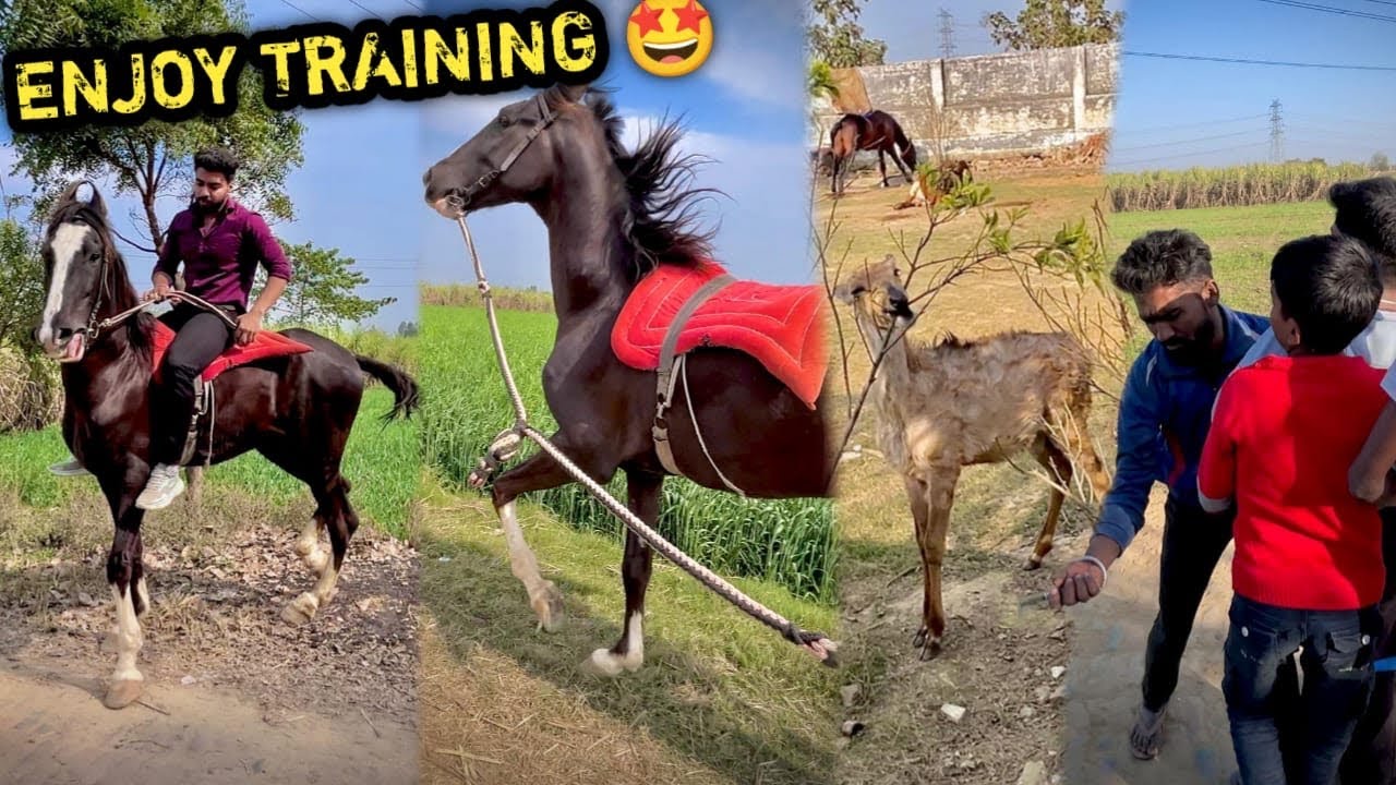 BACCHO Ko Injection Laga Diya 😨RAFTAR Preshan Hai Ye Kaisi Training Karwa Raha Hu Mai