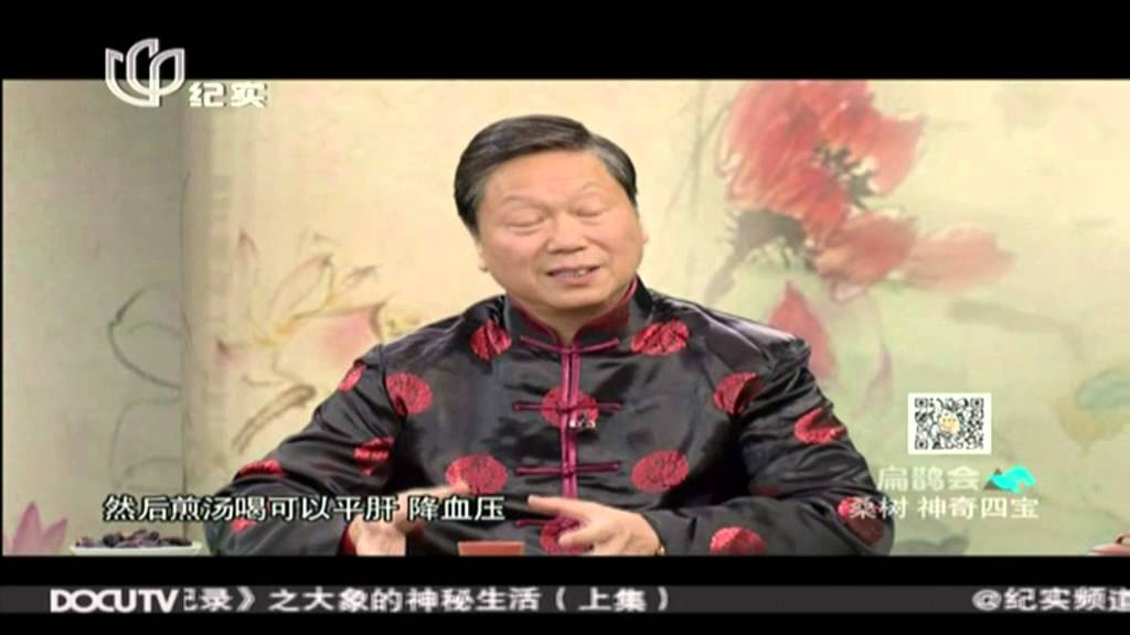 中医养生《扁鹊会》完整版：桑树 神奇四宝