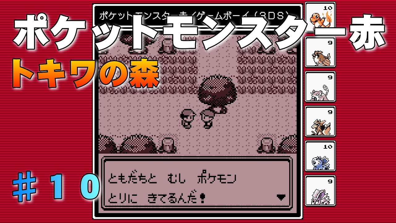 【ポケットモンスター赤】第１０回『トキワの森』