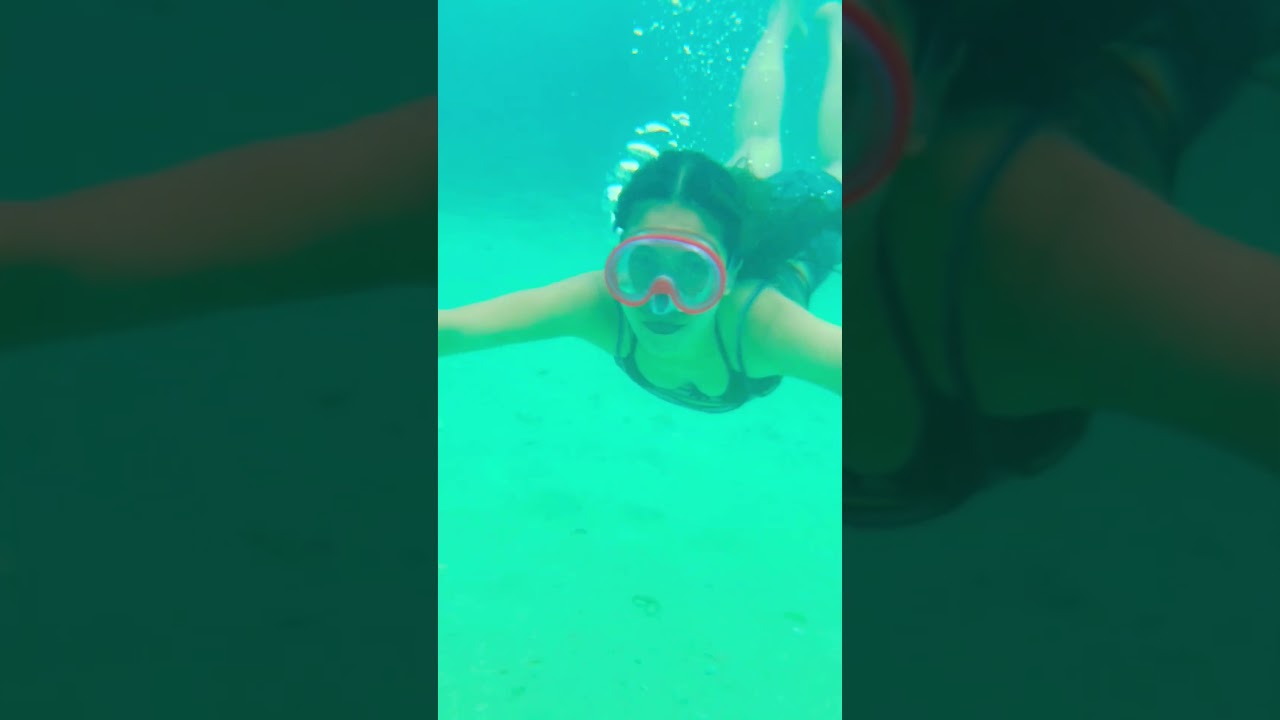 Carnaza Island Swim