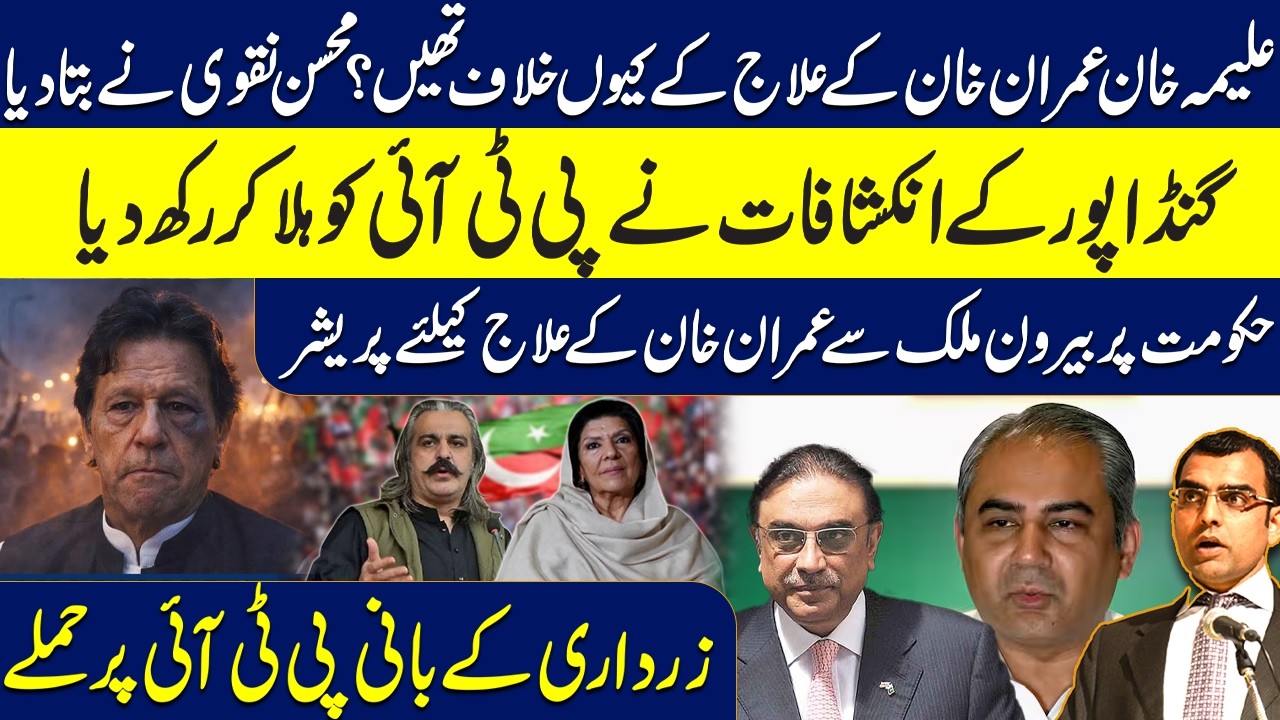 Why Was Aleema Khan Against Imran Khan’s Treatment?Naqvi Reveals All | International Pressure Mounts