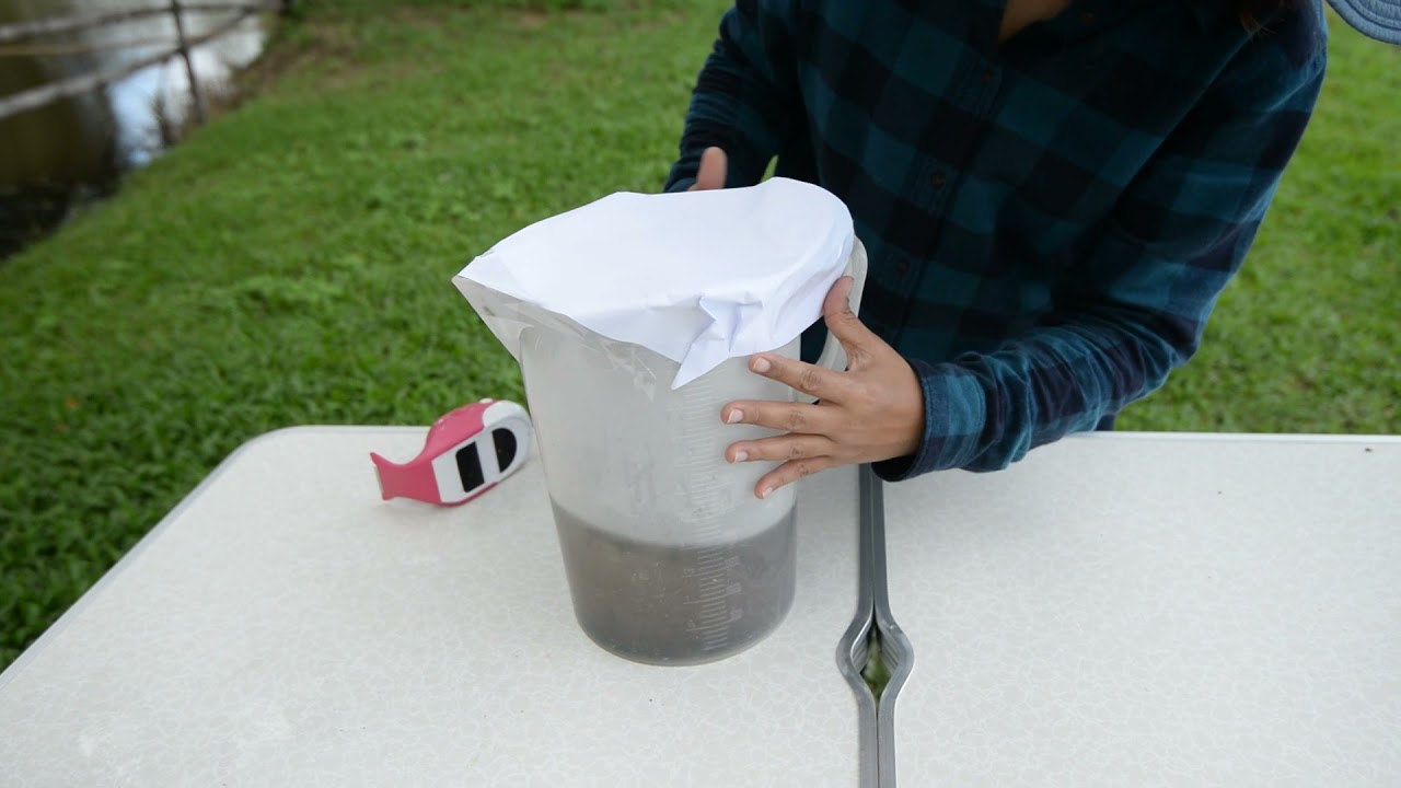 How to make a biopesticide from basil leaves extract