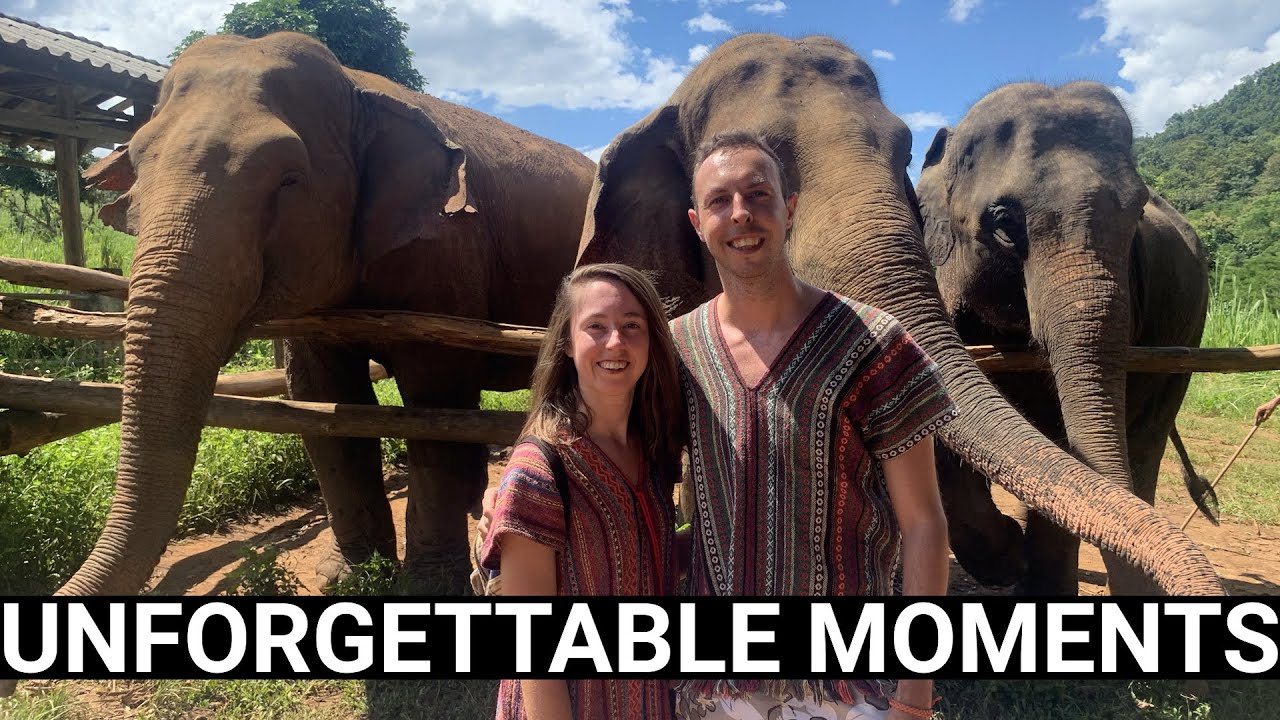 Chiang Mai  - Magical Day at Pon elephant sanctuary: Walking, feeding and Bathing with Giants!