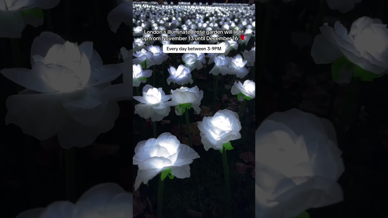 The Ever After Garden - London 🌹  #londonchristmas #christmas2025 #christmasinlondon #christmas2025